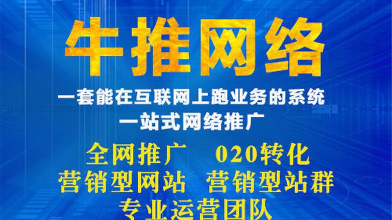 网络营销代理收费之谜：揭秘行业价格构成与影响因素**
