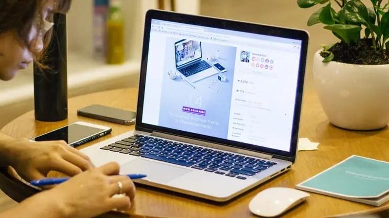 整站优化与SEO：深度解析两者的专业差异