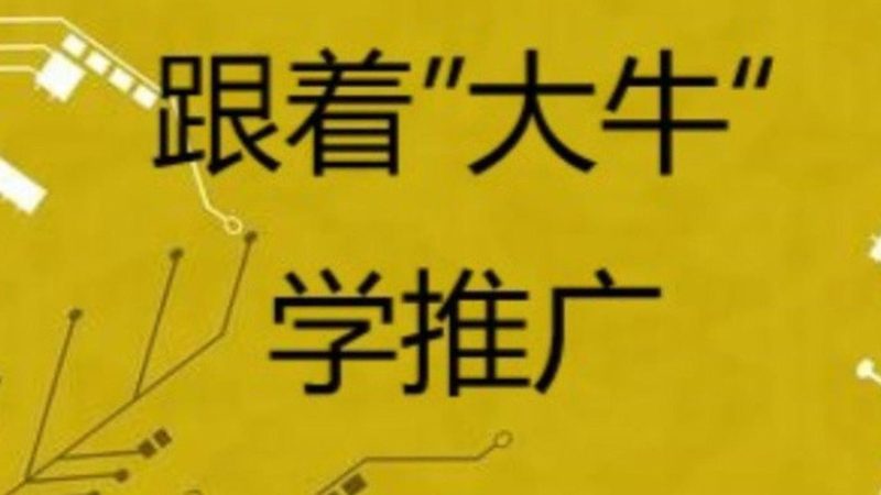 上海全网营销系统开发，报价背后的考量因素